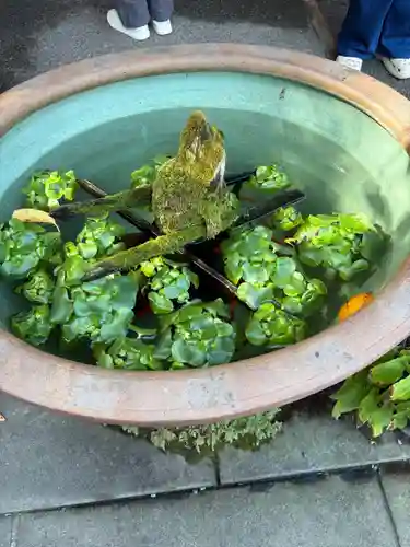 報国寺(神奈川県)