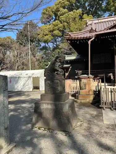 代々木八幡宮の狛犬
