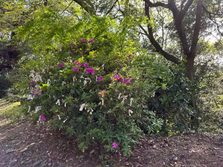 石巻神社山上社の自然
