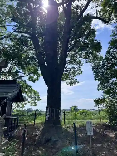 白子神社(千葉県)