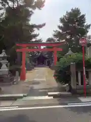 八幡社　春日社合殿の鳥居