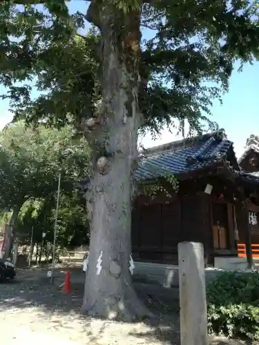 幸宮神社の自然