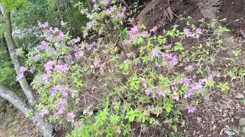 吉田神社(京都府)