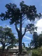 矢奈比賣神社（見付天神）(静岡県)