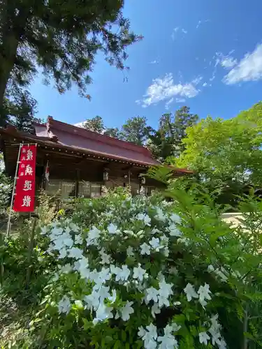 岡部春日神社～👹鬼門よけの🌺花咲く🌺やしろ～の庭園