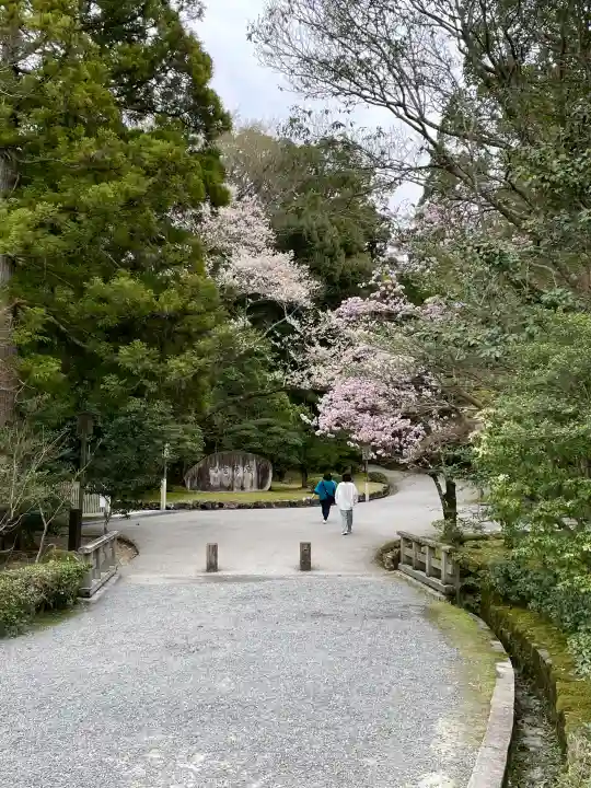 伊勢神宮内宮(皇大神宮)の{uncategorized: "未分類", other: "その他", undefined: "問題あり", building: "その他建物", grave: "お墓", sacred_gate: "鳥居", guardian: "狛犬", statue: "像", buddha: "仏像", history: "歴史", nature: "自然", garden: "庭園", animal: "動物", pagoda: "塔", temizu: "手水舎", mountain_gate: "山門・神門", sanctuary: "本殿・本堂", subordinate: "末社・摂社", art: "芸術", scenery: "景色", jizo: "地蔵", ema: "絵馬", goshuin: "御朱印", omikuji: "おみくじ", items: "授与品その他", amulet: "お守り", goshuincho: "御朱印帳", eats: "食事", festival: "お祭り", votive_dance: "神楽", shichigosan: "七五三参", wedding: "結婚式", experience: "体験その他", initially: "初詣", around: "周辺", anti_infection: "感染症対策"}