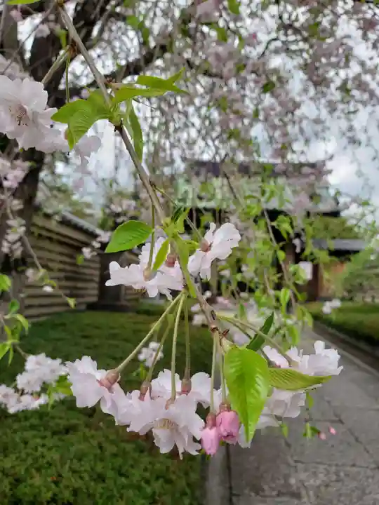 福蔵院(東京都)