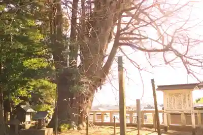 鹿嶋神社の{uncategorized: "未分類", other: "その他", undefined: "問題あり", building: "その他建物", grave: "お墓", sacred_gate: "鳥居", guardian: "狛犬", statue: "像", buddha: "仏像", history: "歴史", nature: "自然", garden: "庭園", animal: "動物", pagoda: "塔", temizu: "手水舎", mountain_gate: "山門・神門", sanctuary: "本殿・本堂", subordinate: "末社・摂社", art: "芸術", scenery: "景色", jizo: "地蔵", ema: "絵馬", goshuin: "御朱印", omikuji: "おみくじ", items: "授与品その他", amulet: "お守り", goshuincho: "御朱印帳", eats: "食事", festival: "お祭り", votive_dance: "神楽", shichigosan: "七五三参", wedding: "結婚式", experience: "体験その他", initially: "初詣", around: "周辺", anti_infection: "感染症対策"}