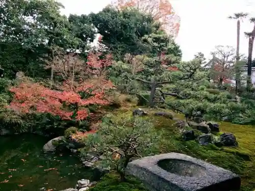 両足院の庭園