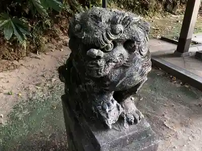 富岡八幡宮の狛犬