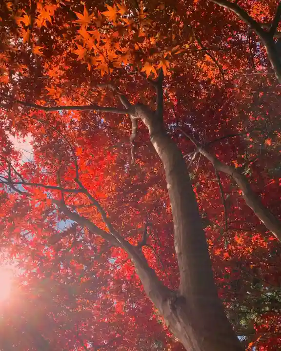 滑川神社 - 仕事と子どもの守り神(福島県)