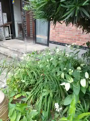 観音寺（世田谷山観音寺）の末社・摂社