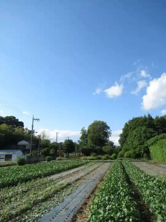尾崎天神宮(千葉県)