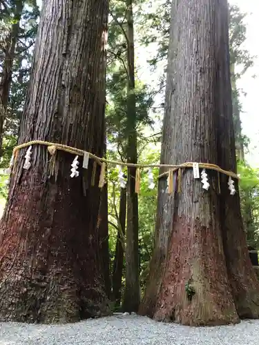 丹生川上神社（中社）(奈良県)
