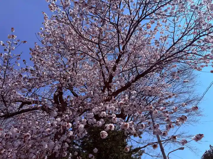 大麻神社(北海道)