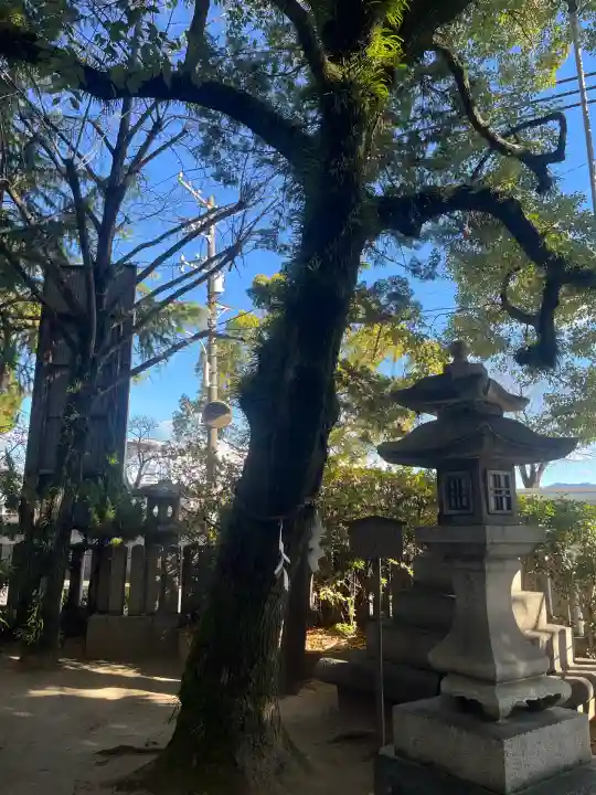 空鞘稲生神社(広島県)