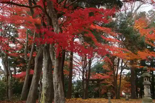 國祖神社の景色