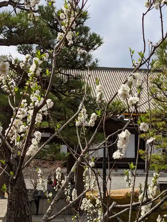 蓮華王院(三十三間堂)(京都府)