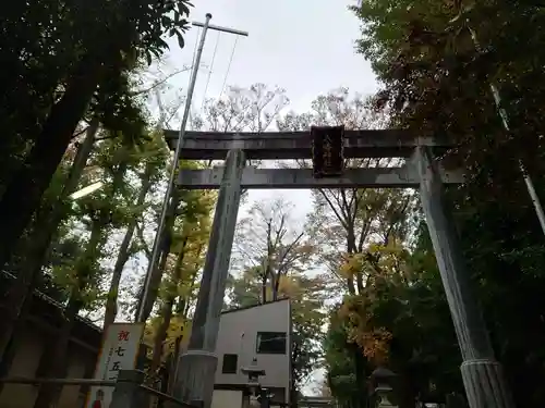 荻窪八幡神社の鳥居