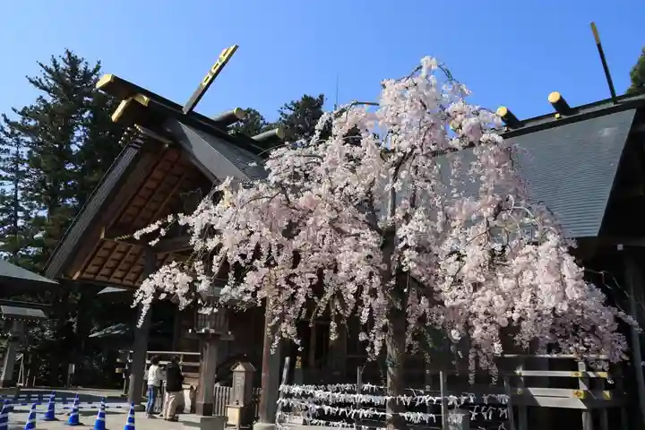 開成山大神宮の本殿・本堂