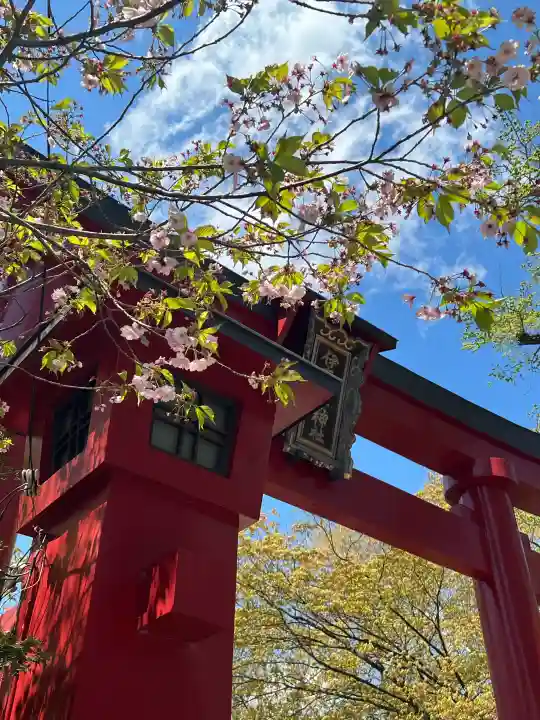 彌彦神社 (伊夜日子神社)の{uncategorized: "未分類", other: "その他", undefined: "問題あり", building: "その他建物", grave: "お墓", sacred_gate: "鳥居", guardian: "狛犬", statue: "像", buddha: "仏像", history: "歴史", nature: "自然", garden: "庭園", animal: "動物", pagoda: "塔", temizu: "手水舎", mountain_gate: "山門・神門", sanctuary: "本殿・本堂", subordinate: "末社・摂社", art: "芸術", scenery: "景色", jizo: "地蔵", ema: "絵馬", goshuin: "御朱印", omikuji: "おみくじ", items: "授与品その他", amulet: "お守り", goshuincho: "御朱印帳", eats: "食事", festival: "お祭り", votive_dance: "神楽", shichigosan: "七五三参", wedding: "結婚式", experience: "体験その他", initially: "初詣", around: "周辺", anti_infection: "感染症対策"}