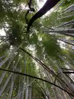 浅間神社(千葉県)