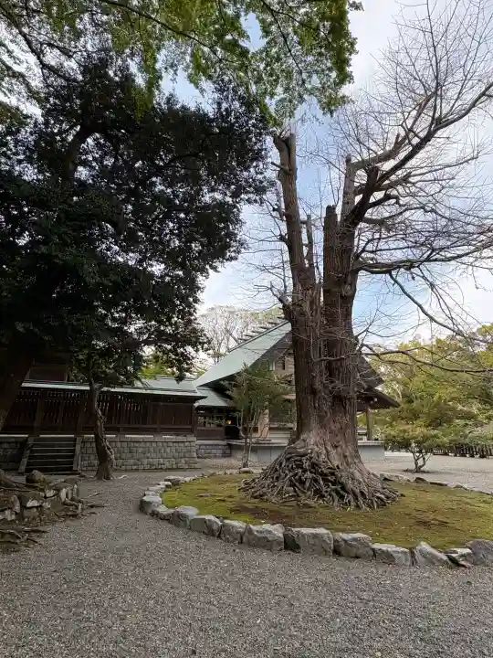 安房神社(千葉県)