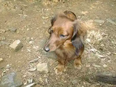 降松神社(山口県)