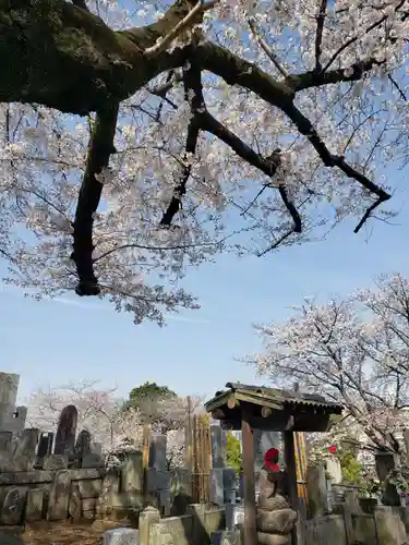 東光寺(東京都)