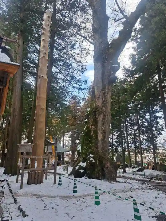 諏訪大社(長野県)