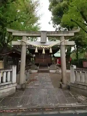 蓮沼氷川神社の鳥居