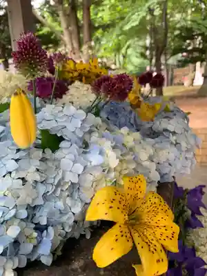 北広島市総鎮守 廣島神社の手水舎