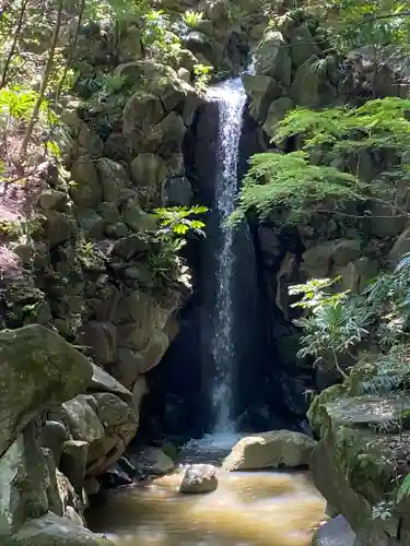 成田山新勝寺の庭園