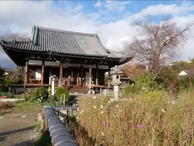 般若寺 ❁コスモス寺❁の本殿・本堂