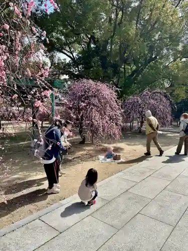 屯倉神社の{uncategorized: "未分類", other: "その他", undefined: "問題あり", building: "その他建物", grave: "お墓", sacred_gate: "鳥居", guardian: "狛犬", statue: "像", buddha: "仏像", history: "歴史", nature: "自然", garden: "庭園", animal: "動物", pagoda: "塔", temizu: "手水舎", mountain_gate: "山門・神門", sanctuary: "本殿・本堂", subordinate: "末社・摂社", art: "芸術", scenery: "景色", jizo: "地蔵", ema: "絵馬", goshuin: "御朱印", omikuji: "おみくじ", items: "授与品その他", amulet: "お守り", goshuincho: "御朱印帳", eats: "食事", festival: "お祭り", votive_dance: "神楽", shichigosan: "七五三参", wedding: "結婚式", experience: "体験その他", initially: "初詣", around: "周辺", anti_infection: "感染症対策"}