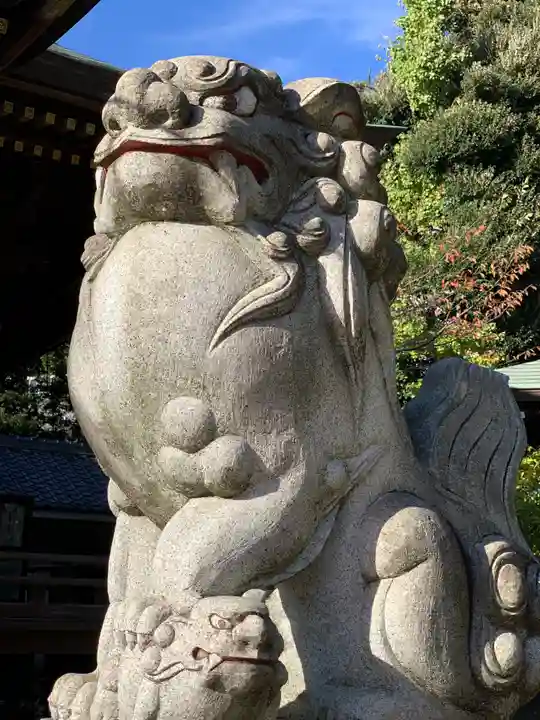 赤羽八幡神社の狛犬