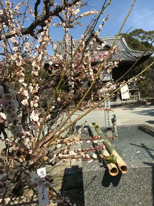 三笠神社(福岡県)