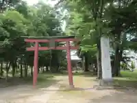 鷲神社(埼玉県)