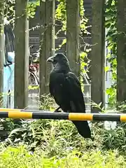 大國魂神社(東京都)