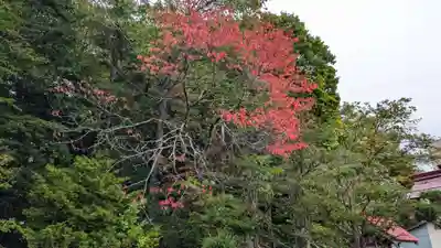 生田原神社の自然