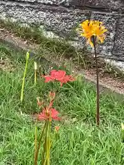 横浜　西方寺(神奈川県)