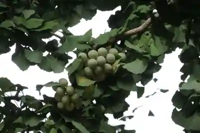 熊野福藏神社(福島県)
