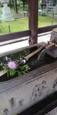 真正極楽寺(真如堂)の手水舎