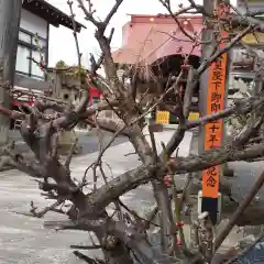 大鏑神社の自然