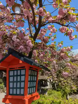 六孫王神社(京都府)