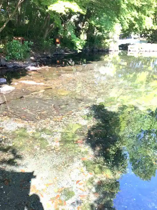 富士山本宮浅間大社(静岡県)