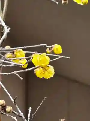 水堂須佐男神社(兵庫県)