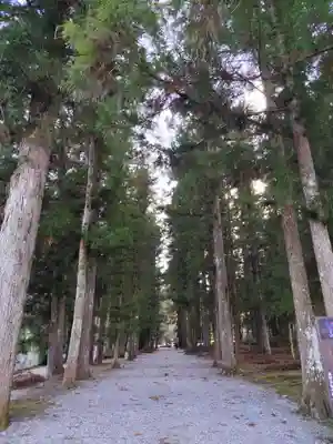 大斎原（熊野本宮大社旧社地）(和歌山県)