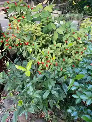 御塔生福寺(神奈川県)