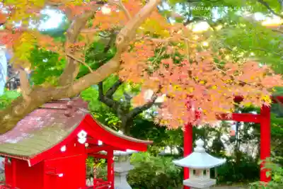 高幡不動尊　金剛寺(東京都)
